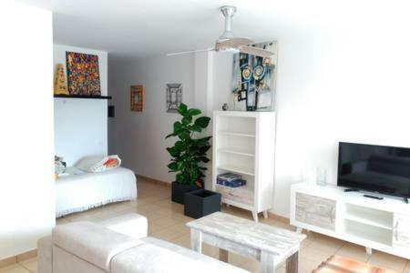 Teleworking Panoramablick Neuwertig Grosse Wohnung Los Realejos Esterno foto